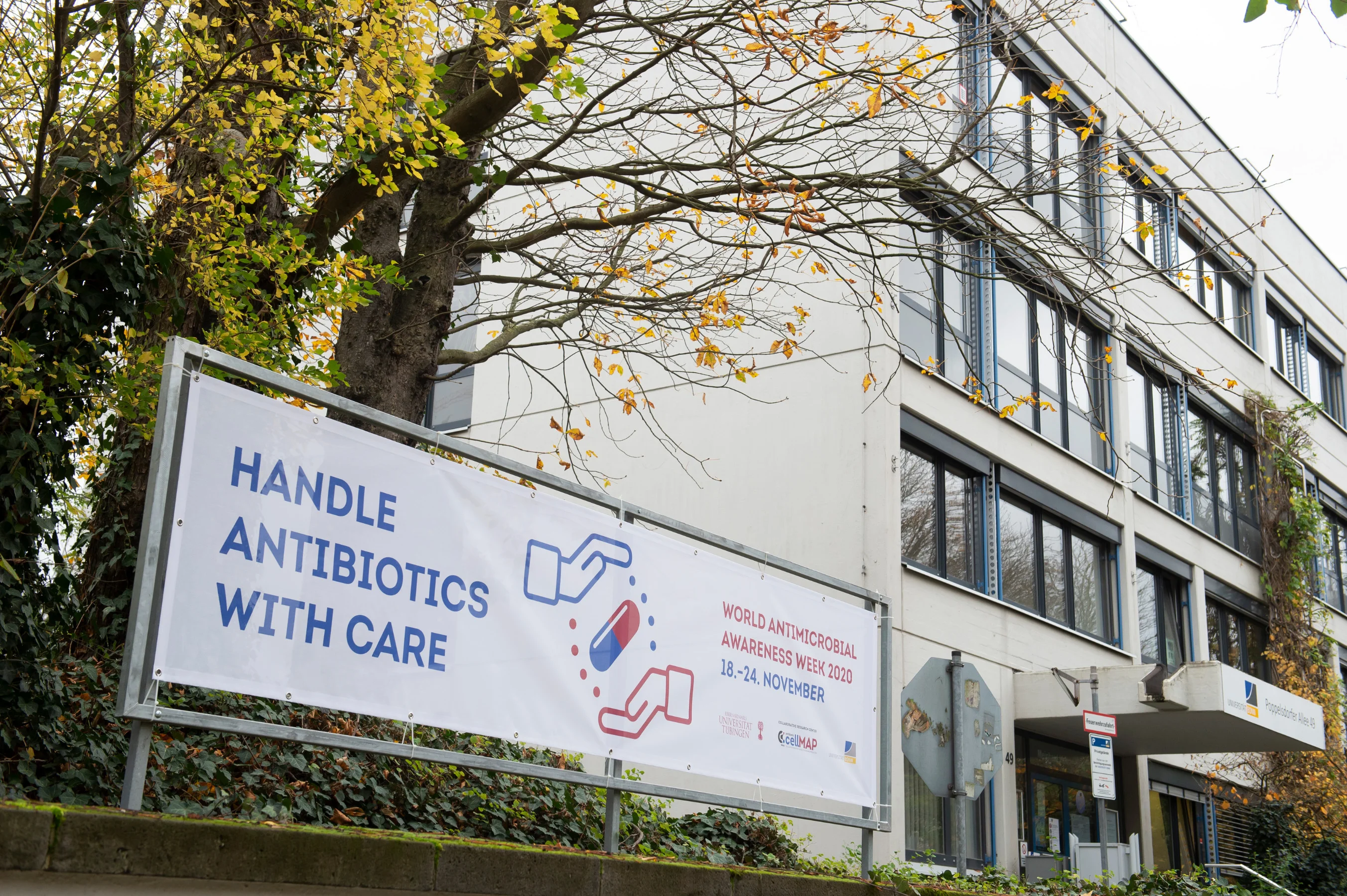 Waving a flag for antibiotics