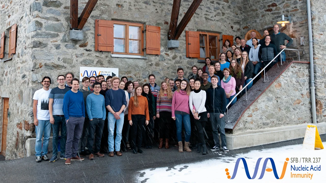 Next round for Collaborative Research Center in Immunology