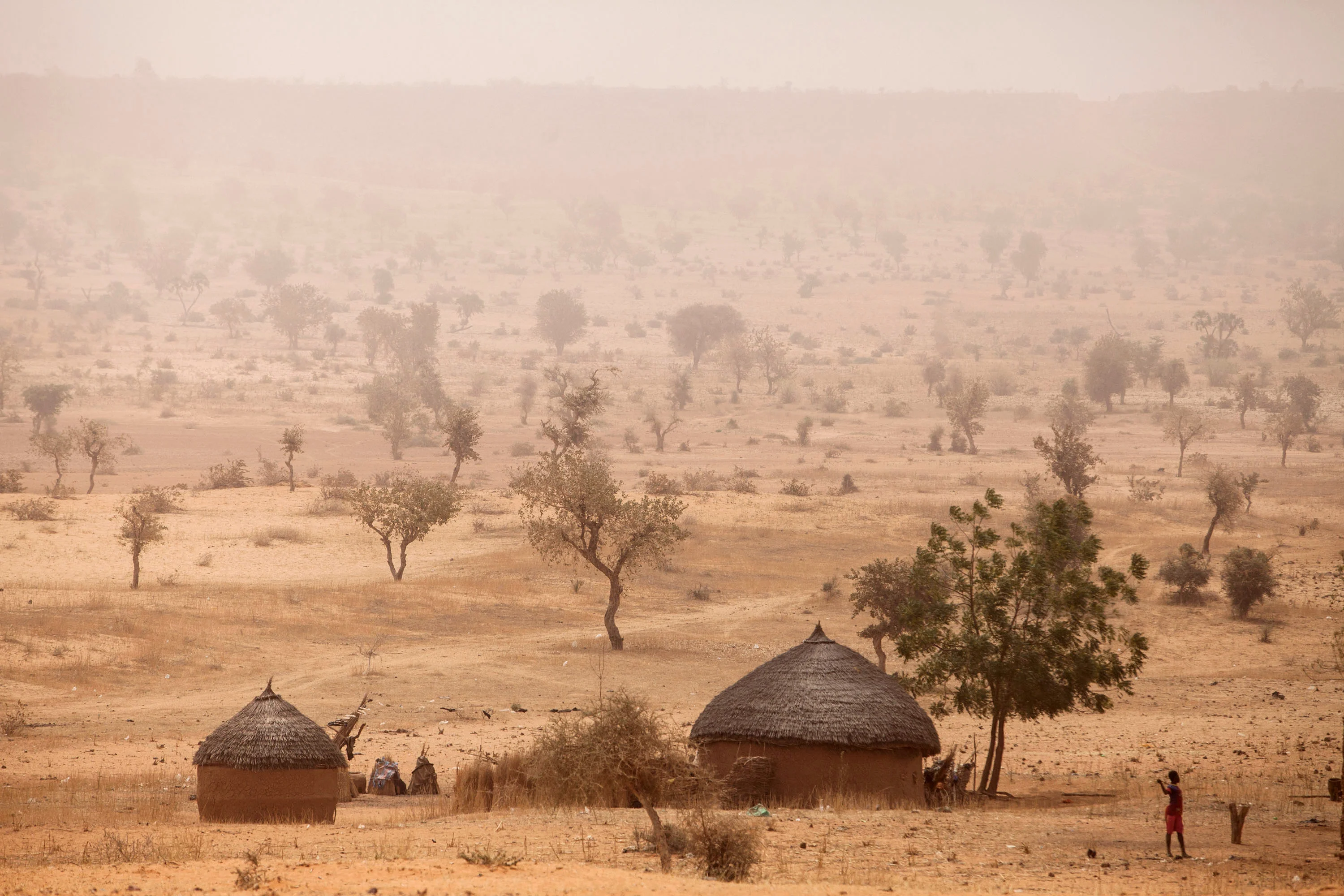 Africa's "Green Wall" also makes economic sense