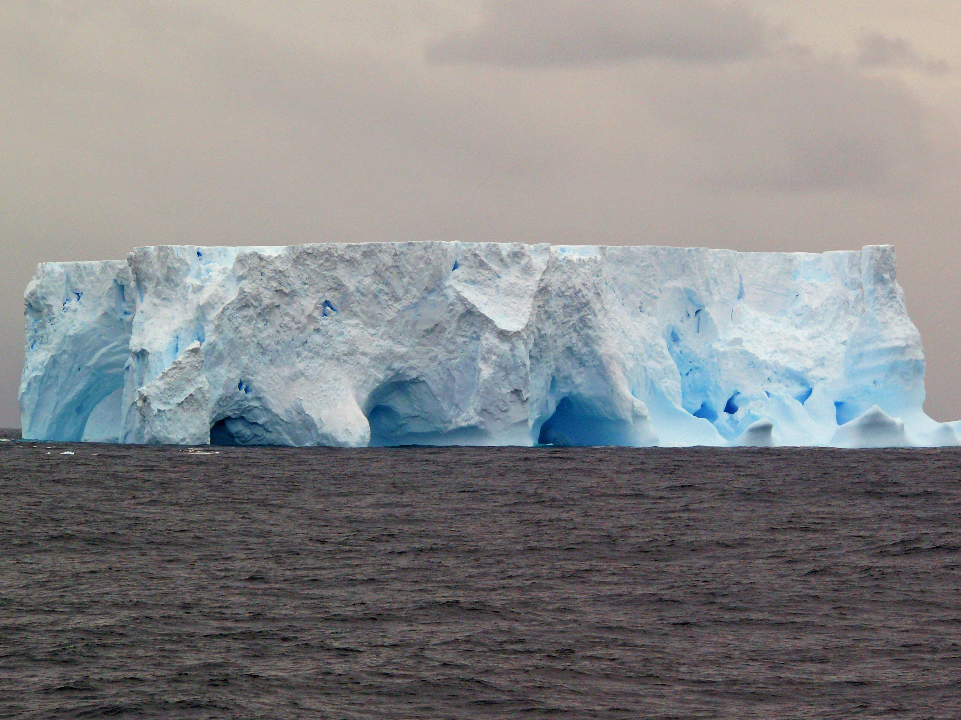 Iceberg