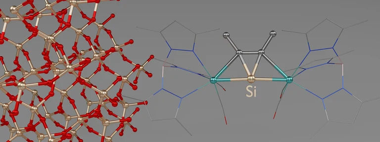 3D representation of one of the new molecules.