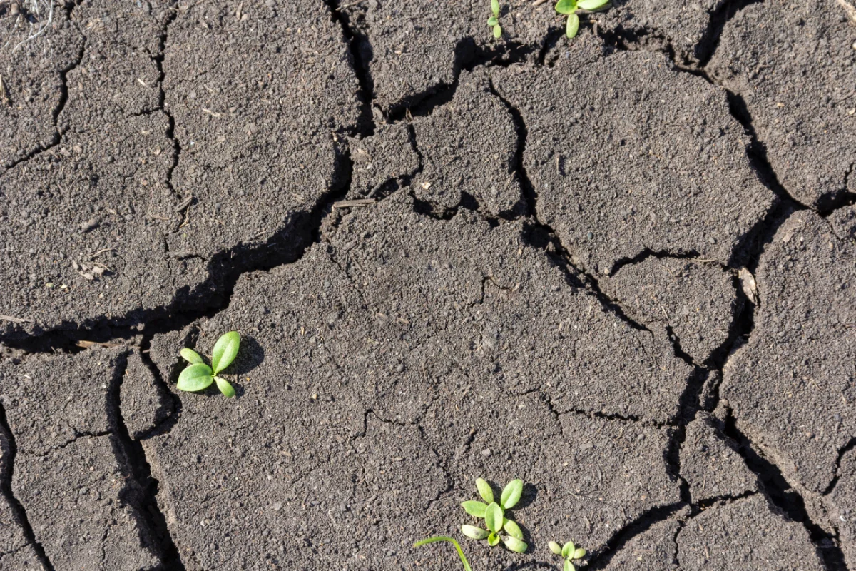 A Compass for Successful Climate Adaptation