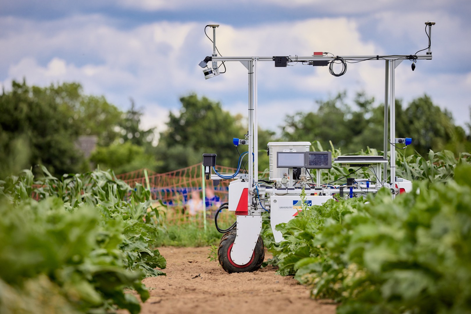 A robot in the field: digital technologies help on the way to sustainable crop production.