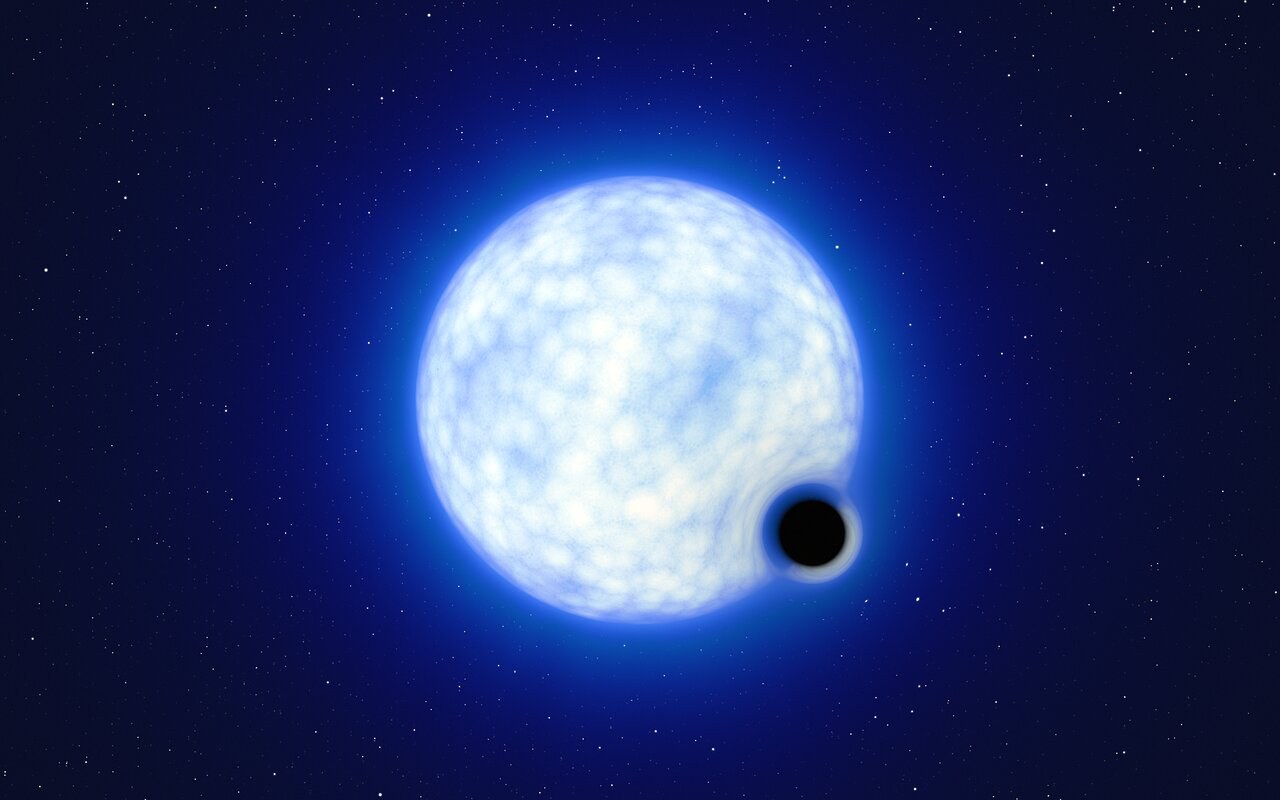 This artist’s impression shows what the binary system VFTS 243 might look like if we were observing it up close. The system, which is located in the Tarantula Nebula in the Large Magellanic Cloud, is composed of a hot, blue star with 25 times the Sun’s mass and a black hole, which is at least nine times the mass of the Sun. The sizes of the two binary components are not to scale: in reality, the blue star is about 200 000 times larger than the black hole. Note that the 'lensing' effect around the black hole is shown for illustration purposes only, to make this dark object more noticeable in the image. The inclination of the system means that, when looking at it from Earth, we cannot observe the black hole eclipsing the star.