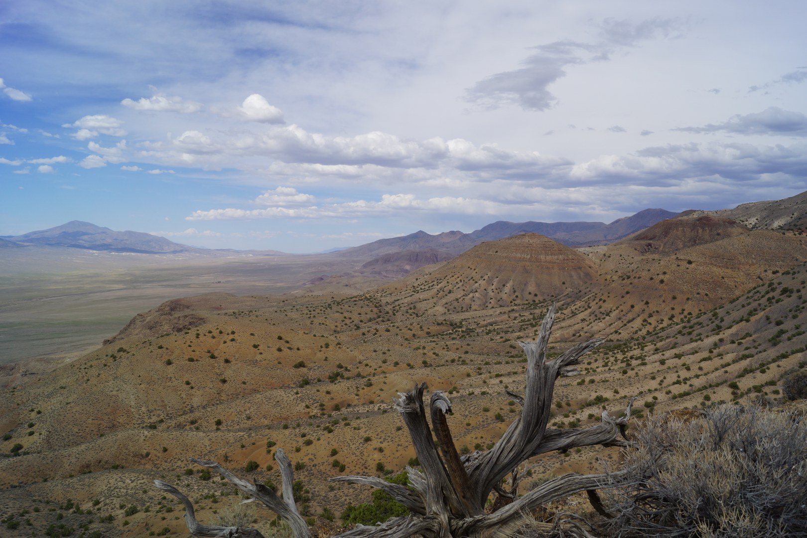 Owing to their remote location, fossils have only recently been discovered in the Augusta Mountains. An international team of scientists led by Dr. Sander began collecting on public lands there 30 years ago, with fossil finds being accessioned to the Natural History Museum of Los Angeles County, since 2008.