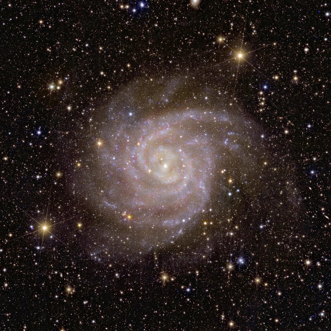 Spiral galaxy IC 342: