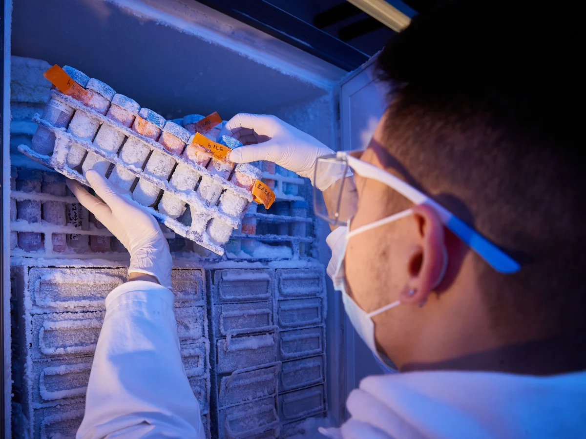 Laboratory activities may, under certain circumstances, be carried out in on-site attendance as an examination preparation measure.