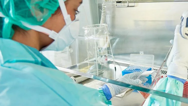 Entwicklung gezielter Therapeutika und Diagnostika für die extrapulmonare Tuberkulose an der Uniklinik Köln.