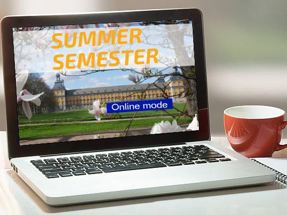 Summer semester online