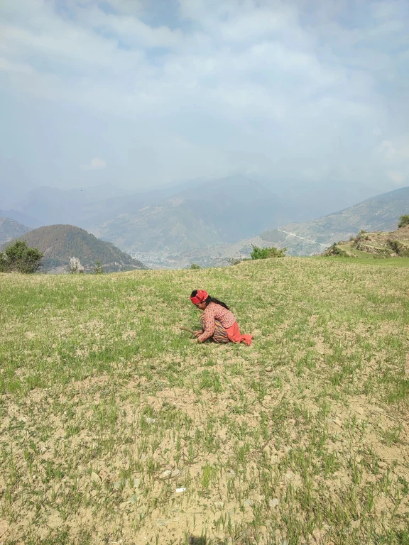 A female farmer in Nepal: