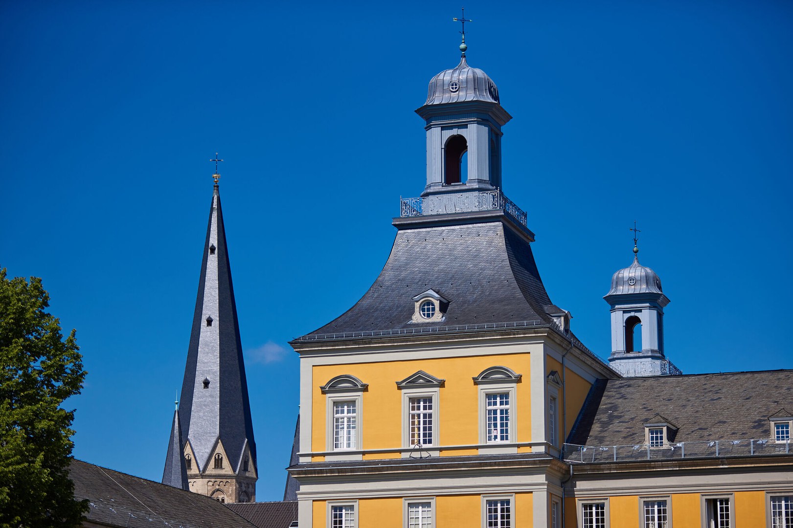 Leiden Ranking: University of Bonn Secures Top Positions Once Again