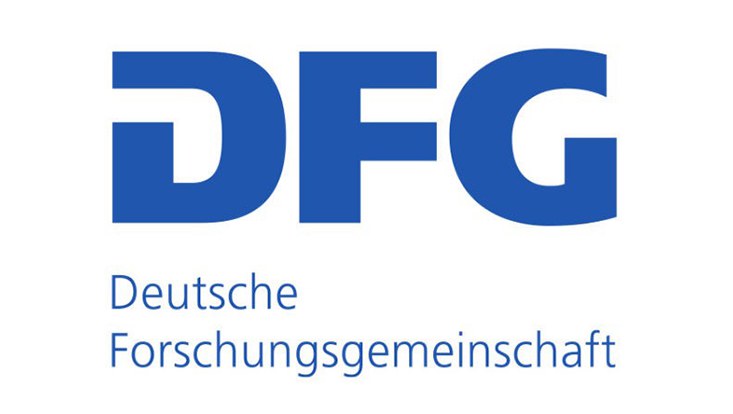 logo-dfg.jpg