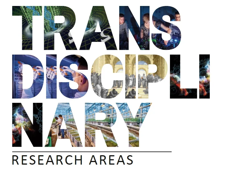 Transdisciplinary Research Areas