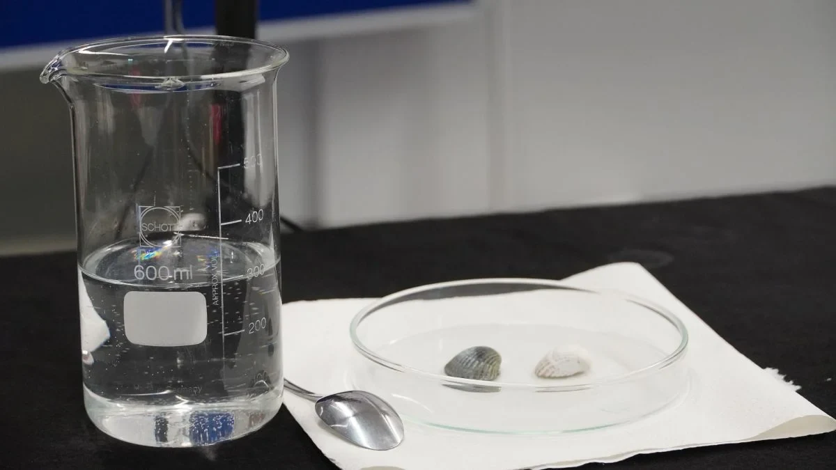 Equipment for a live experiment at “Auf Kurs?”