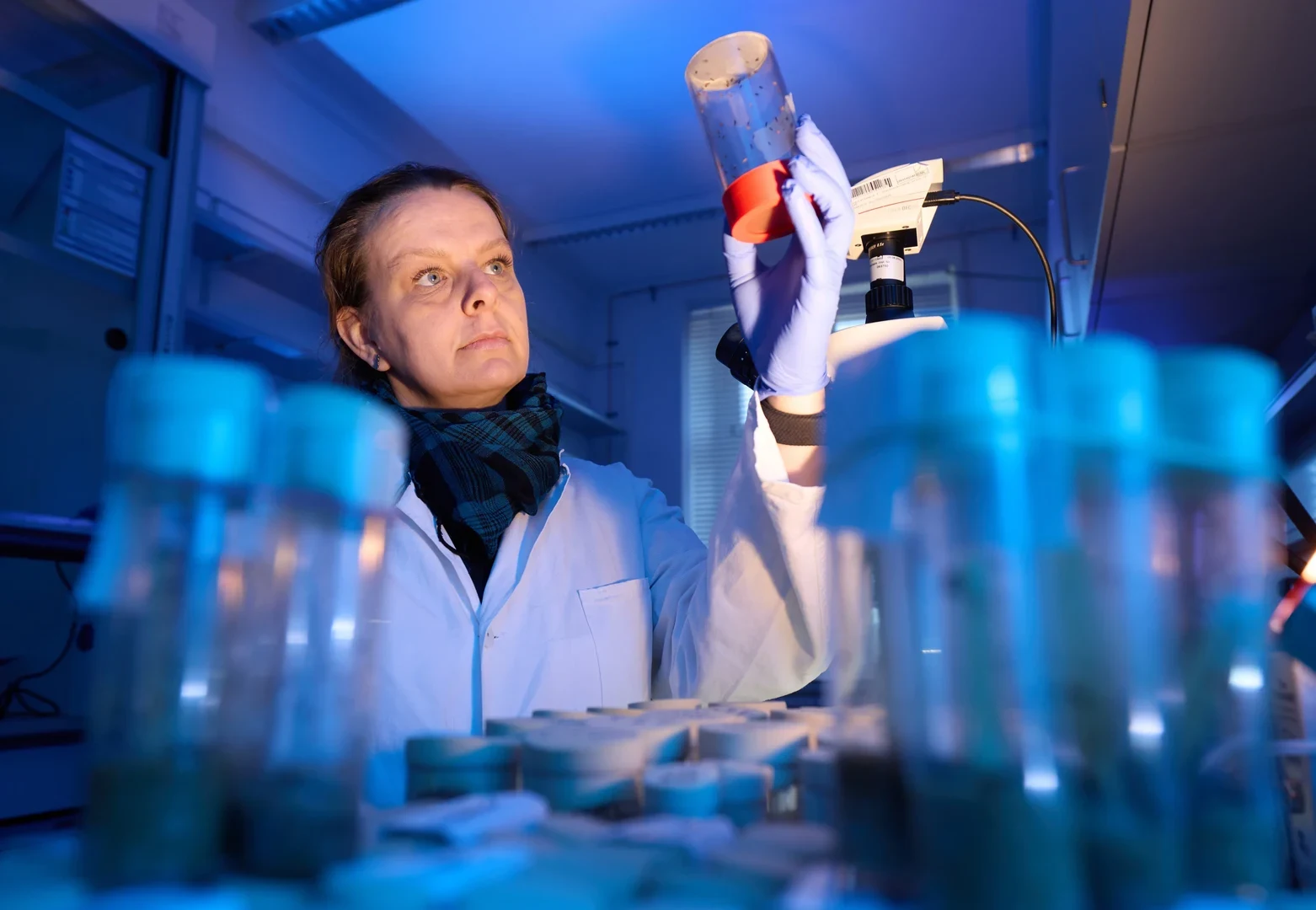 Saskia Seland ist technische Assistentin am Bonner Institut für Organismische Biologie (BIOB).