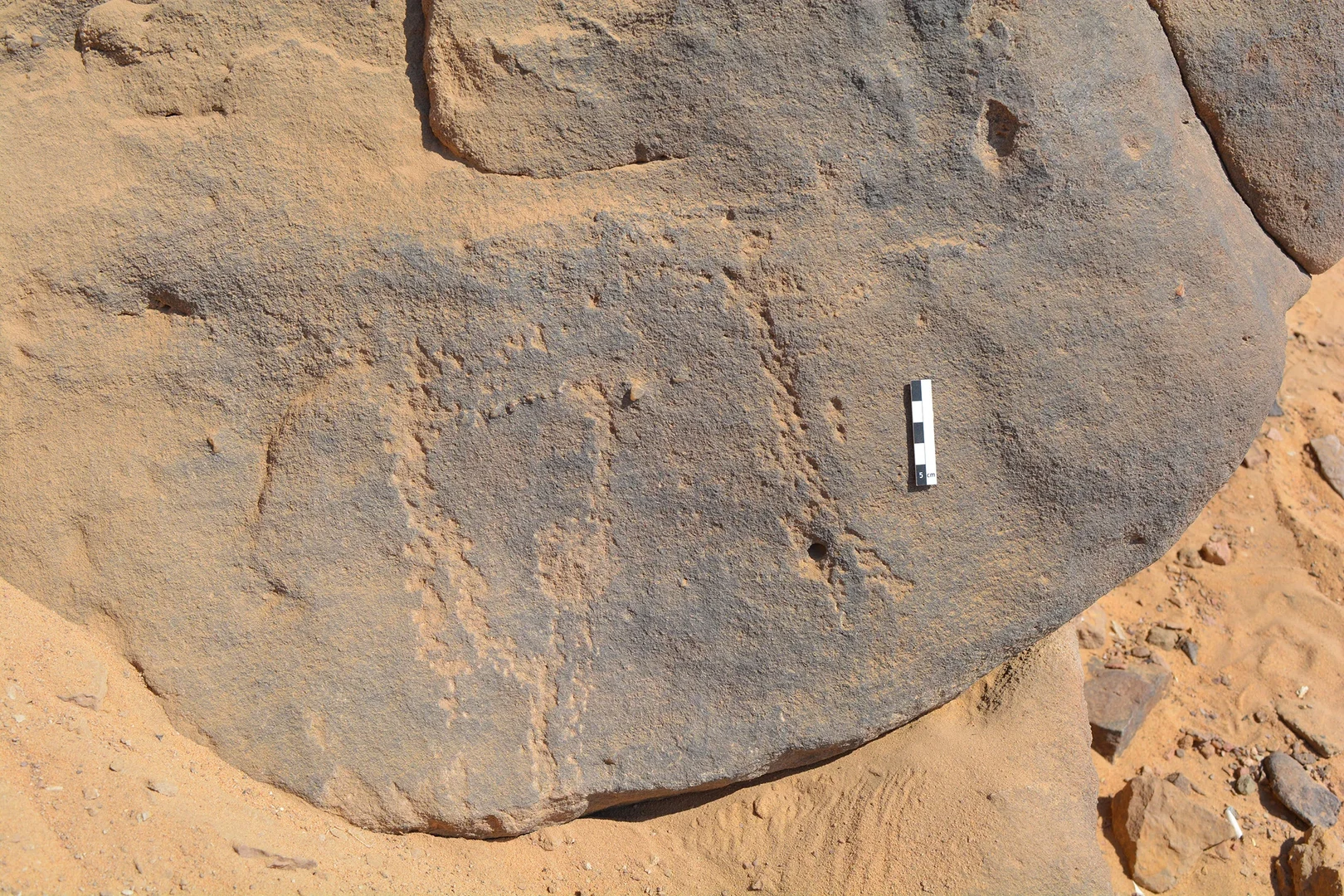 The around 6000-year-old rock engravings