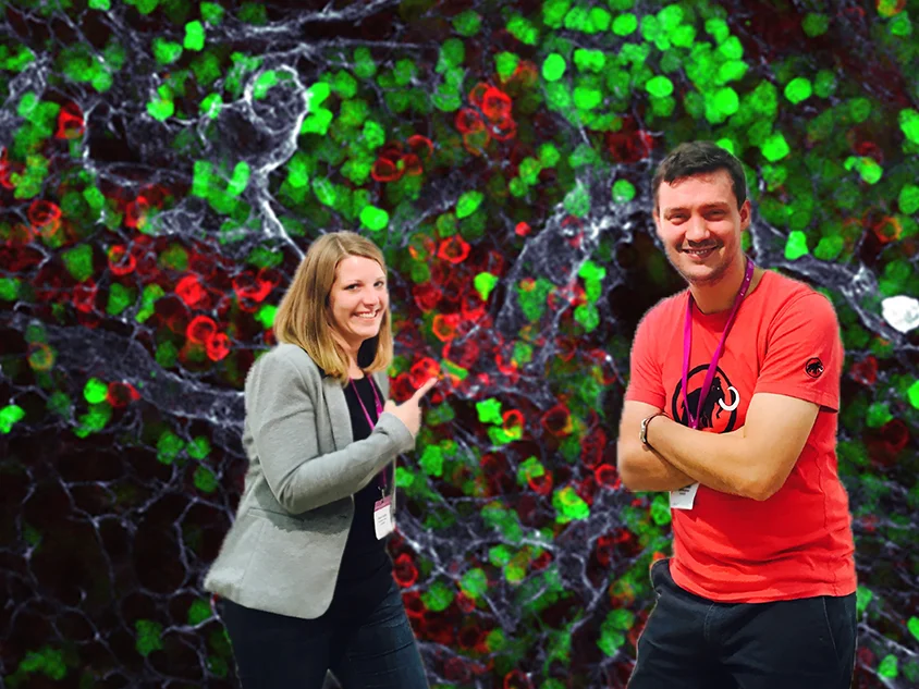 Immune fluorescence: