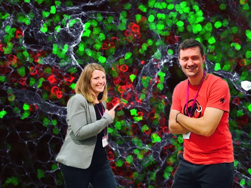 Immune fluorescence: