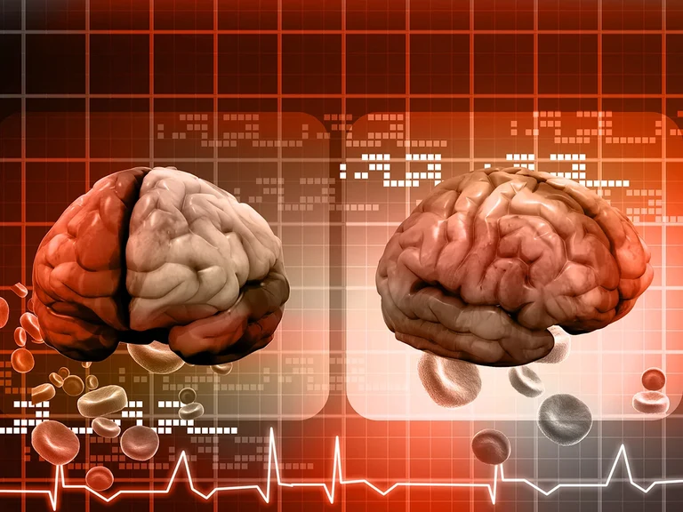 Researchers from the Universities Bochum and Bonn