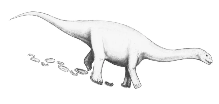 Life reconstruction