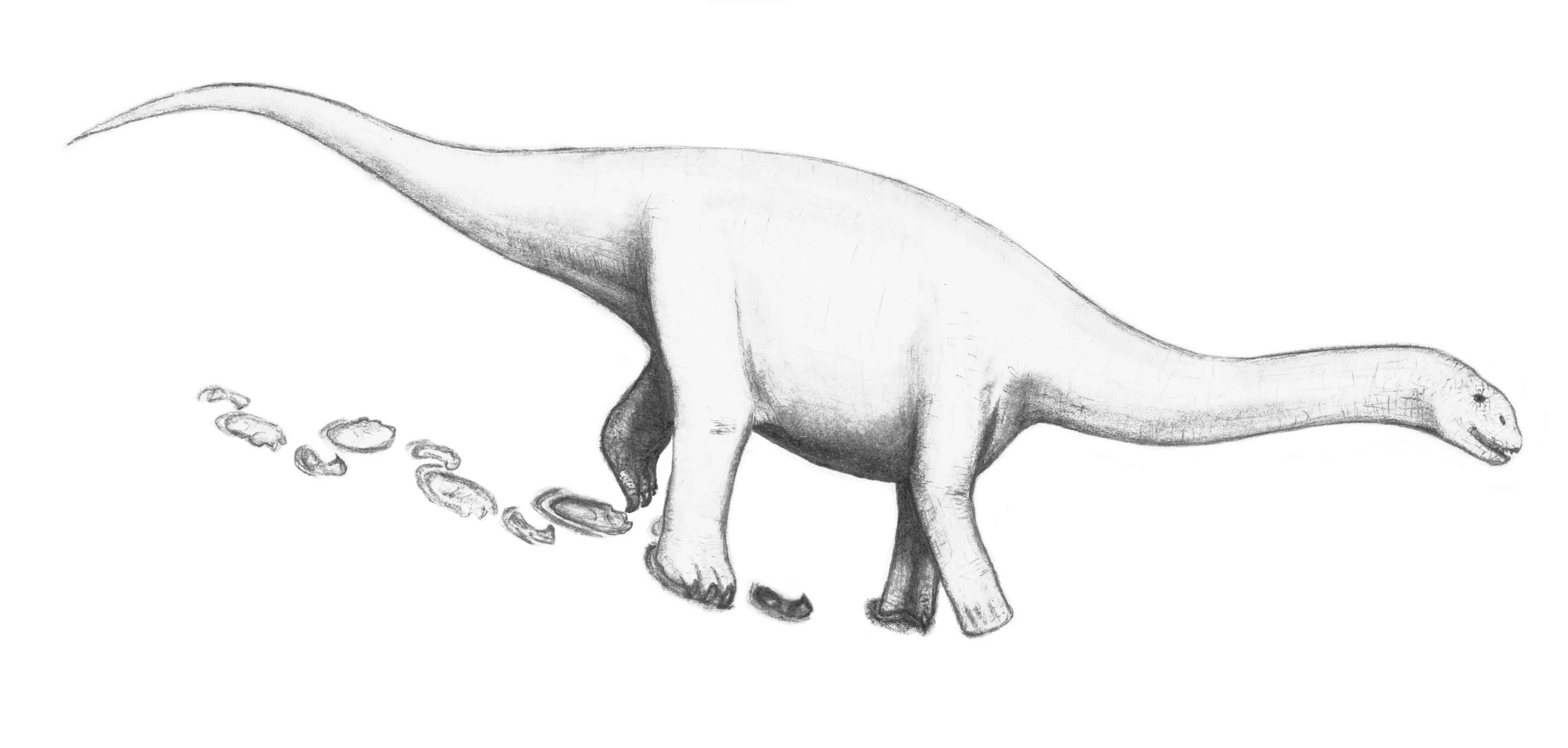 Life reconstruction