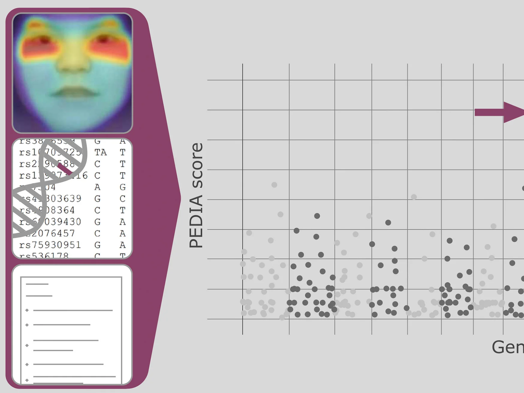 With artificial intelligence to a diagnosis of rare hereditary diseases: