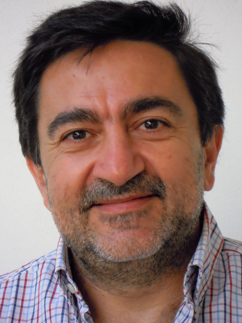 Prof. Dr. Antonio DeSimone
