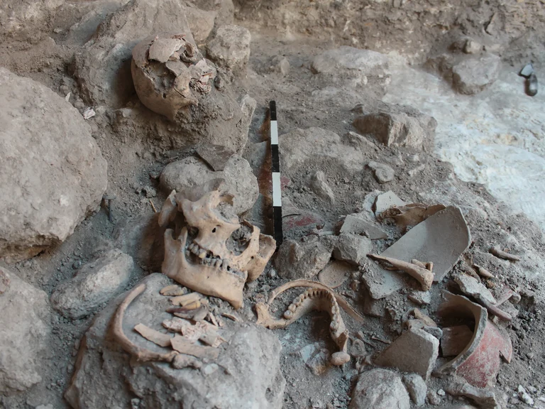 Mass grave of Uxul during the excavations in 2013: