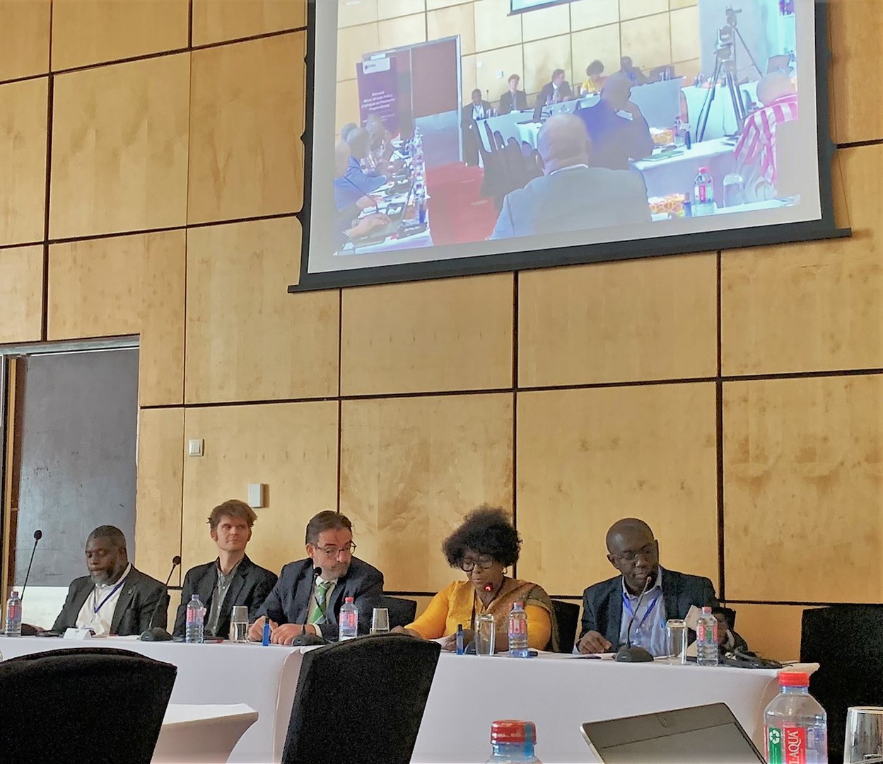 How do you deal with pandemics? What are the current findings at the Ghanaian and international level? Experts, politicians and other stakeholders discussed this at the GWAC meeting.